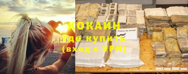мдпв Михайлов
