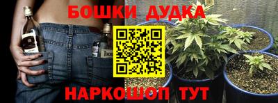 прущие грибы Абакан