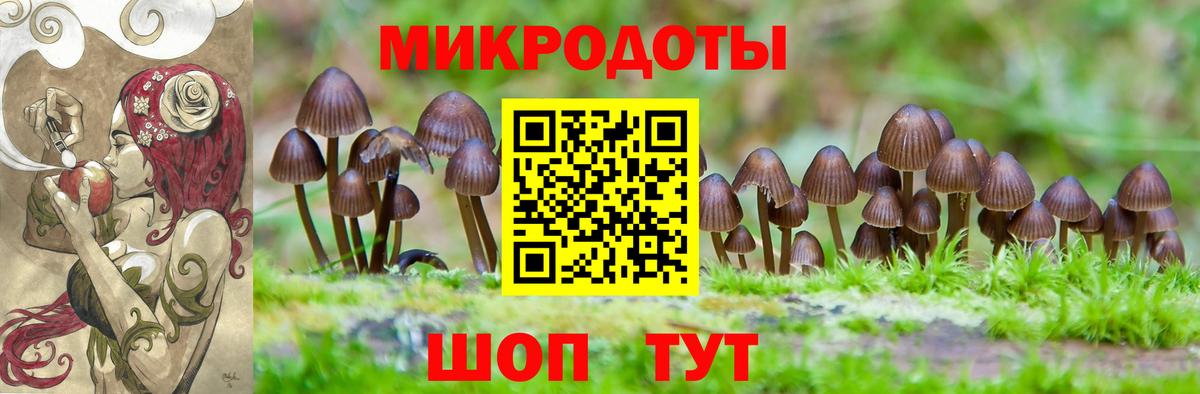 Каменск-Уральский  Галлюциногенные грибы GOLDEN TEACHER  Вход с VPN 